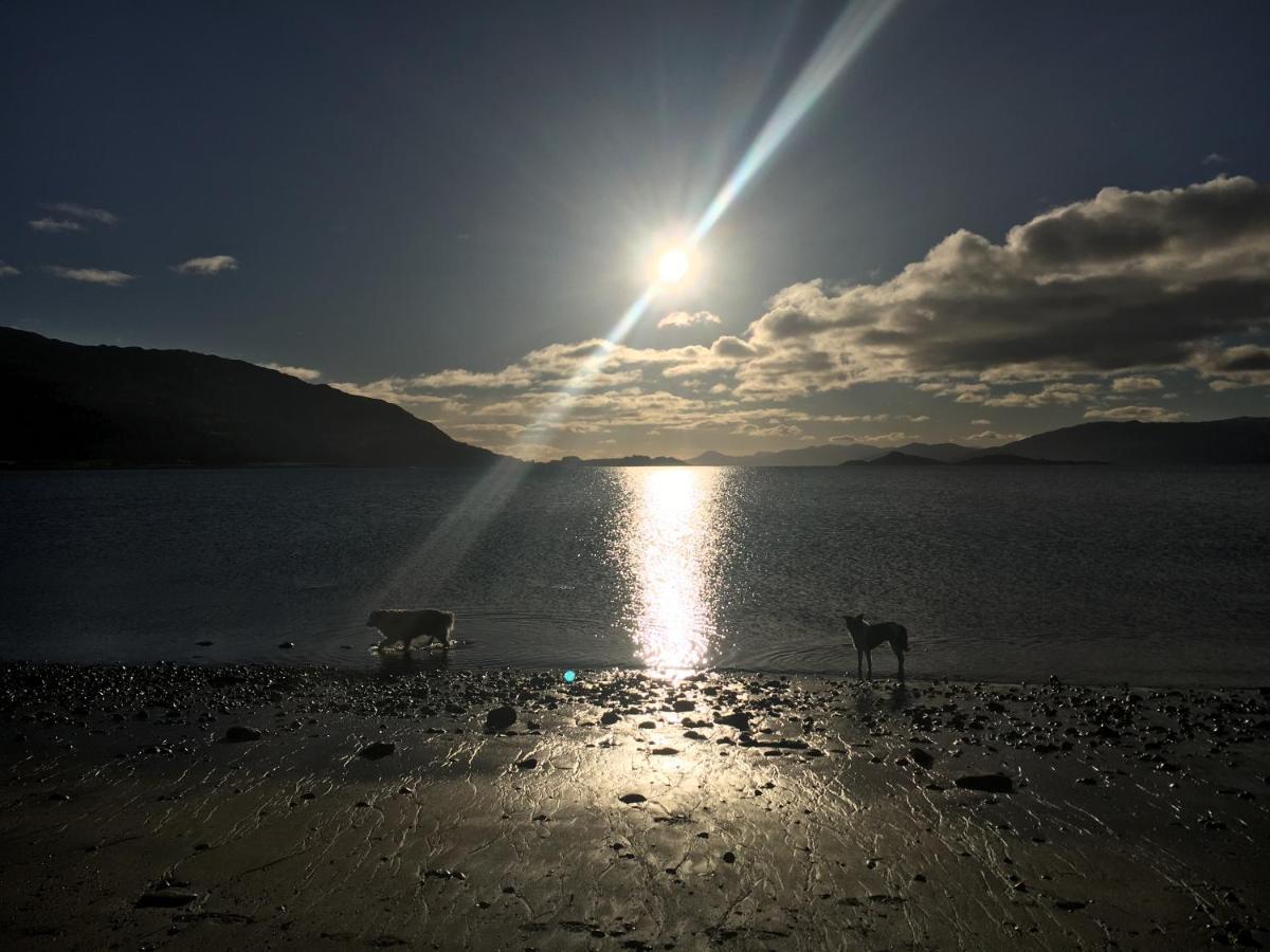 Bed & Breakfast Highland Croft 3*
